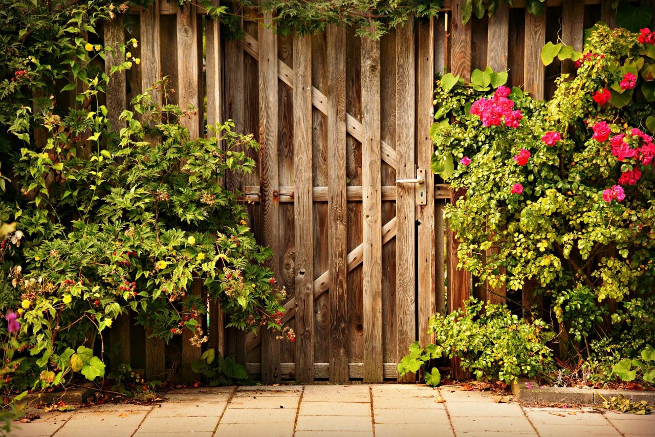 wooden-door-3652660_1920-1