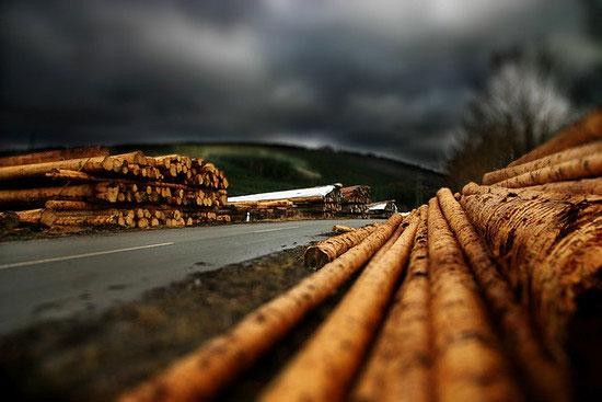 Нуждата от дърводобив и приложението на дървения материал