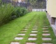 Момчил Шопов