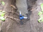 Любомир Любенов