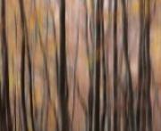 Георги Иванов