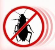 Димитър Лазаров