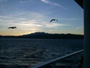 Еко Тур Къмпани