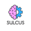 Sulcus Learning