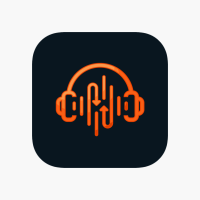 ReHear Transcription tool
