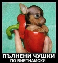 FB_IMG_1532324745995