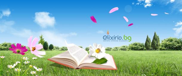 Reading-a-book-on-green-meadow-relaxing-summer-time_2560x1440.jpg