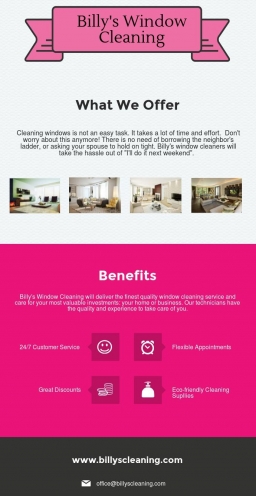 Billy's Window Cleaning.jpg