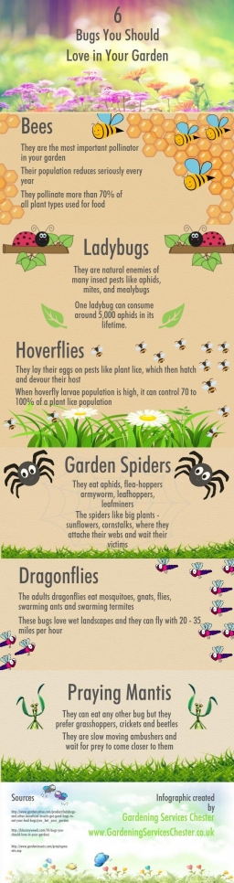 6 bugs you should love in your garden (copy).jpg