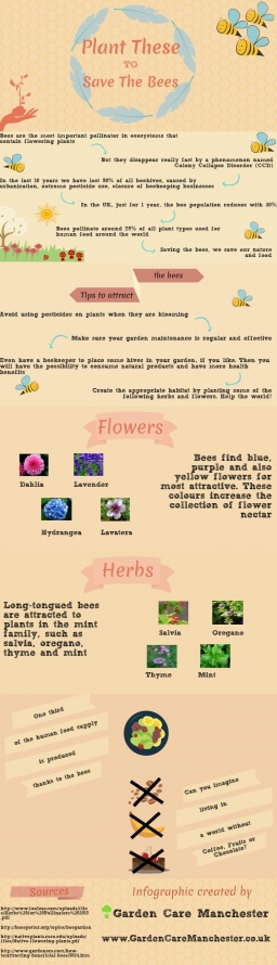 Plant-these-to-save-the-bees.jpg