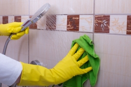 tile and grout cleaning_2.jpg