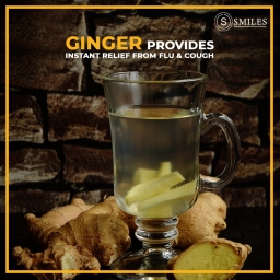 Fight off Flu & Cold with GINGER 2019-02-07