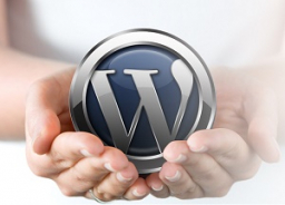 wordpress12.jpg