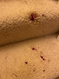 79842492_3289314944471917_7420914386031607808_n (1).jpg