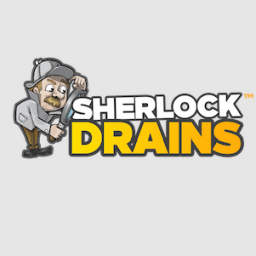 Sherlock Drains log.png