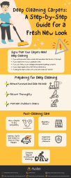 Deep Cleaning Carpets A Step-by-Step Guide for a  Fresh New Look