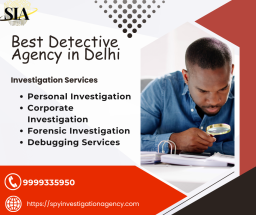 Detective Agency in Delhi- Spy Investigation Agency .png