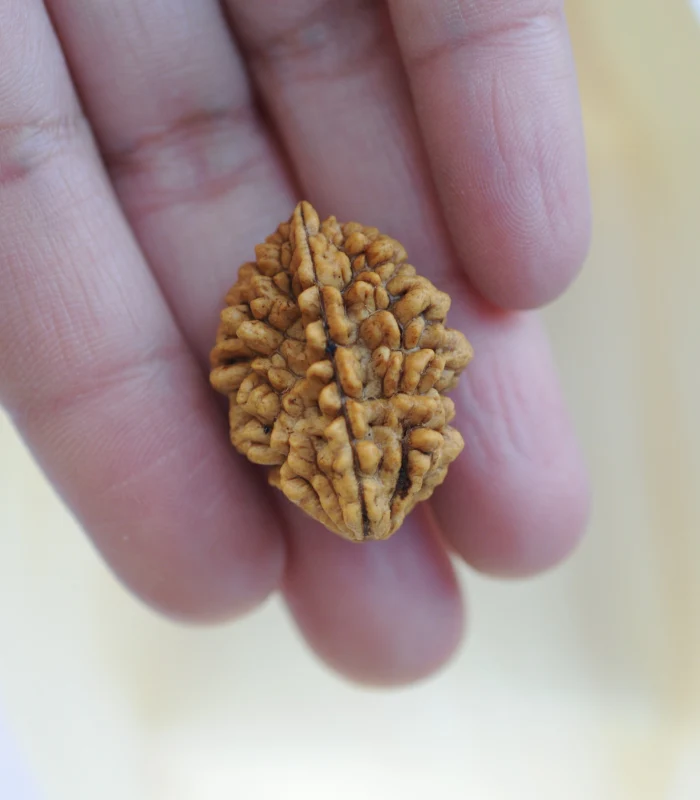 Gemkart_2_mukhi_3
