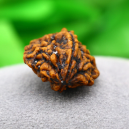 il_fullxfull.4995756376_gpox