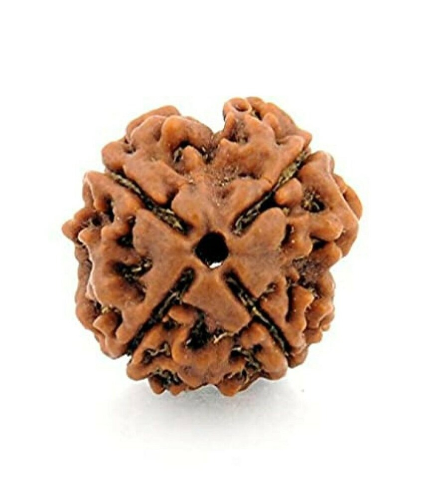 kridha-natural-4-mukhi-rudraksha-bead-pack-of-1-brown-product-images-orvs73ojznb-p603384418-0-202307302307