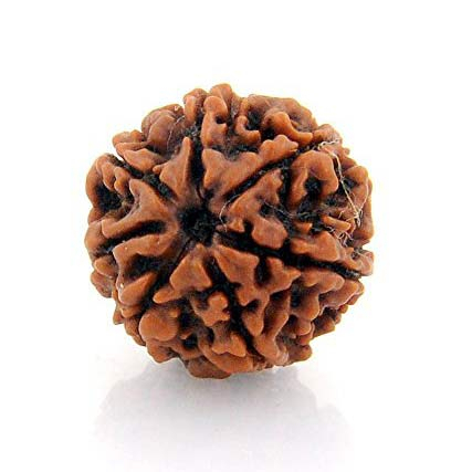 7mukhi