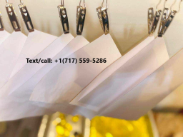 photo_2024-08-15_02-16-51