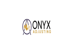 onyx adjusting (2).png