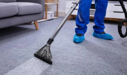 Restore Freshness Through Carpet Cleaning Services in Perth