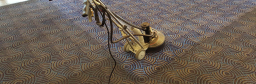 carpet-cleaning