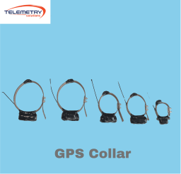 GPS Collar (1)