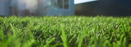 imgi_56_slider-1 2
