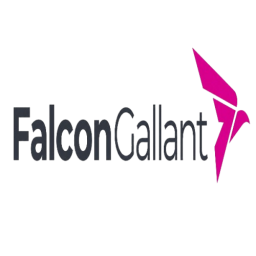 FalconGallantb-removebg-preview (1) (1)