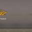air max 95 corteiz