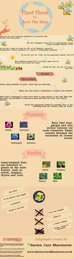 Plant-these-to-save-the-bees.jpg
