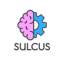 Sulcus Learning